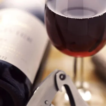 Ibis Saint-nazaire - 3* Trignac